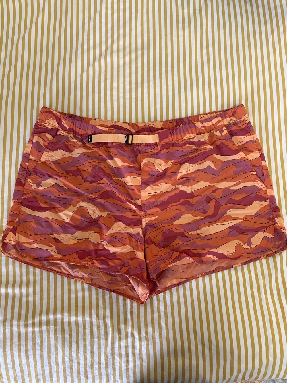 REI Shorts